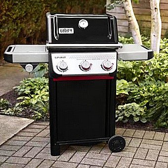 ���� �� Spirit E-335 Weber (���� ����) ���� ����