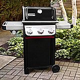  ���� �� ���� WEBER SPIRIT GBS E325 ��� ���� + ���� ��